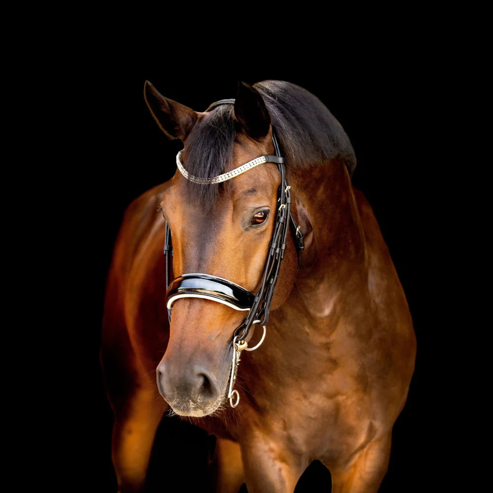 Adeline' luxury leather bridle - (double)