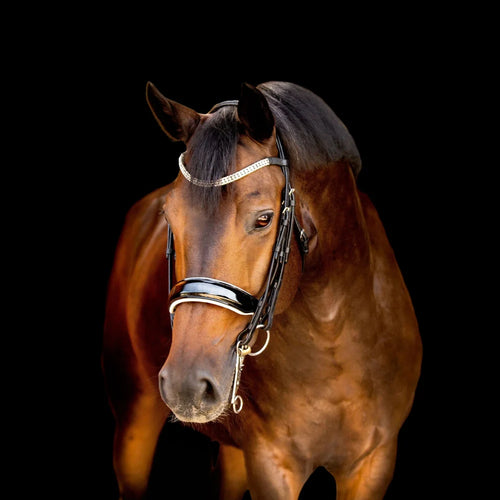 Adeline' luxury leather bridle - (double)