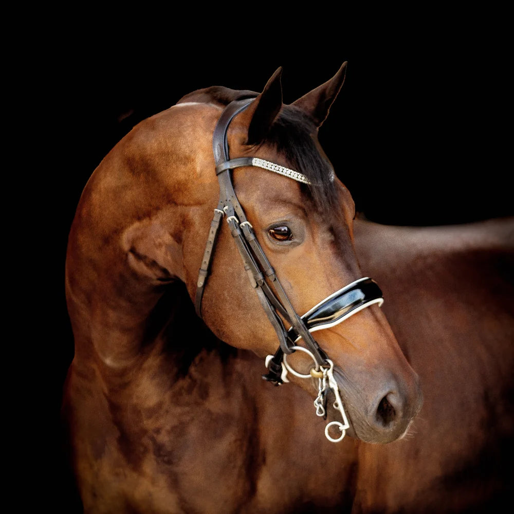 Adeline' luxury leather bridle - (double)