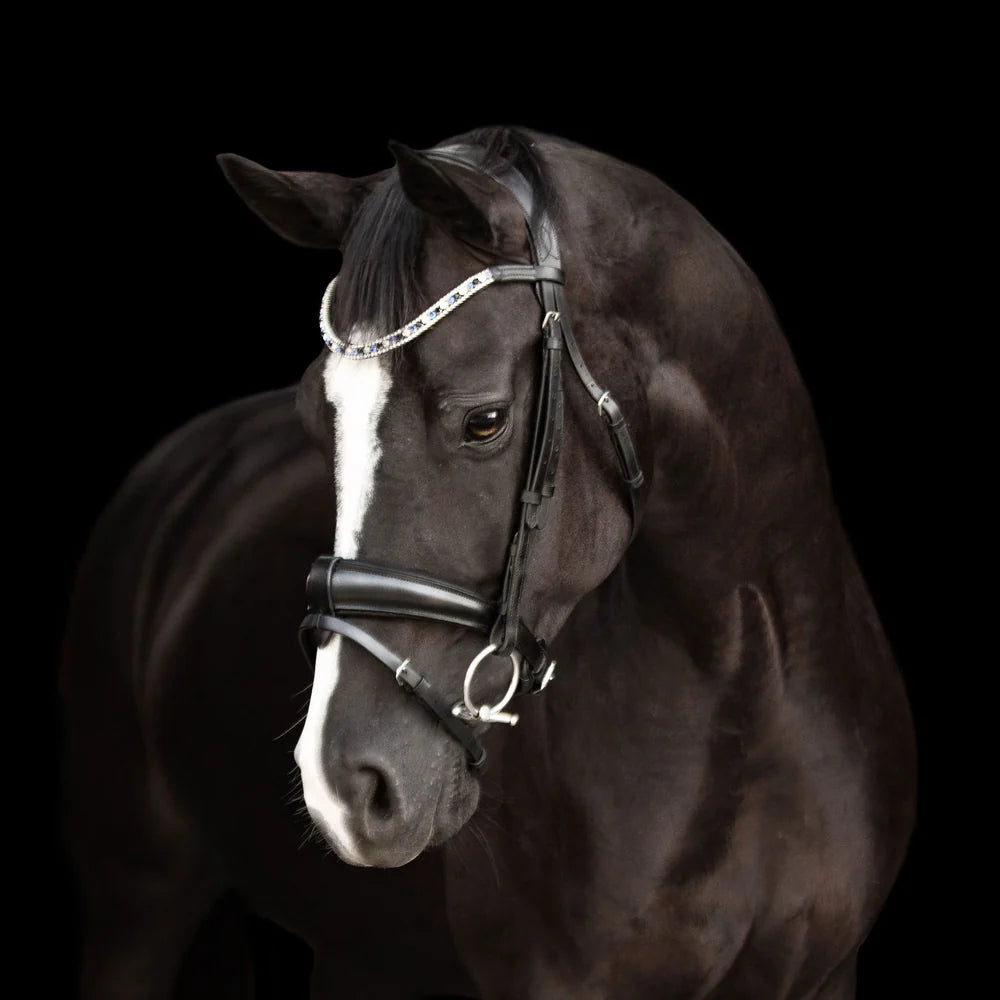 Anastasia' leather bridle (convertible)