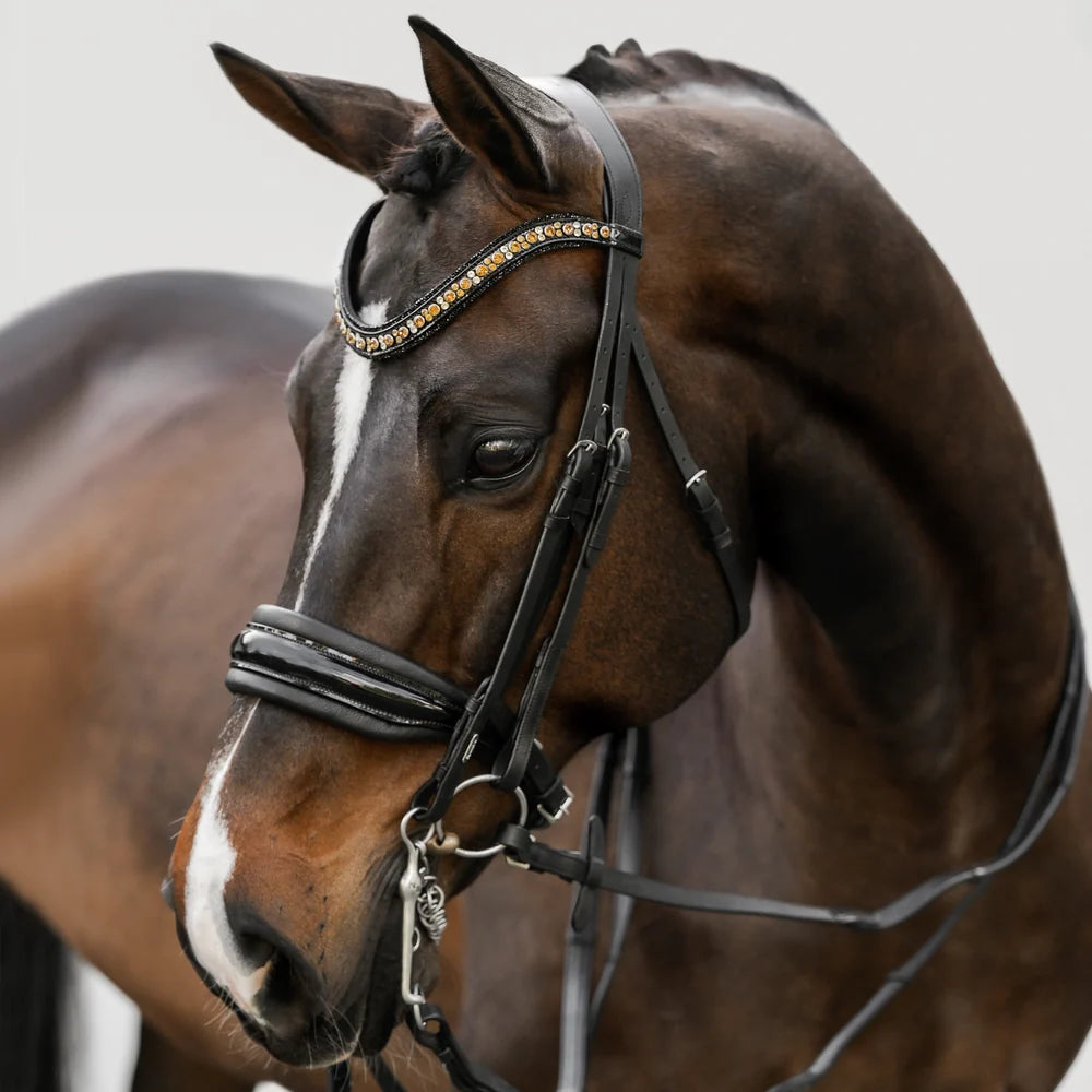 Ariana' bridle (double)