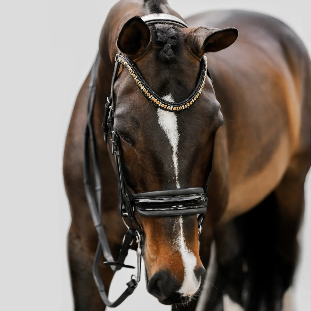 Ariana' bridle (double)