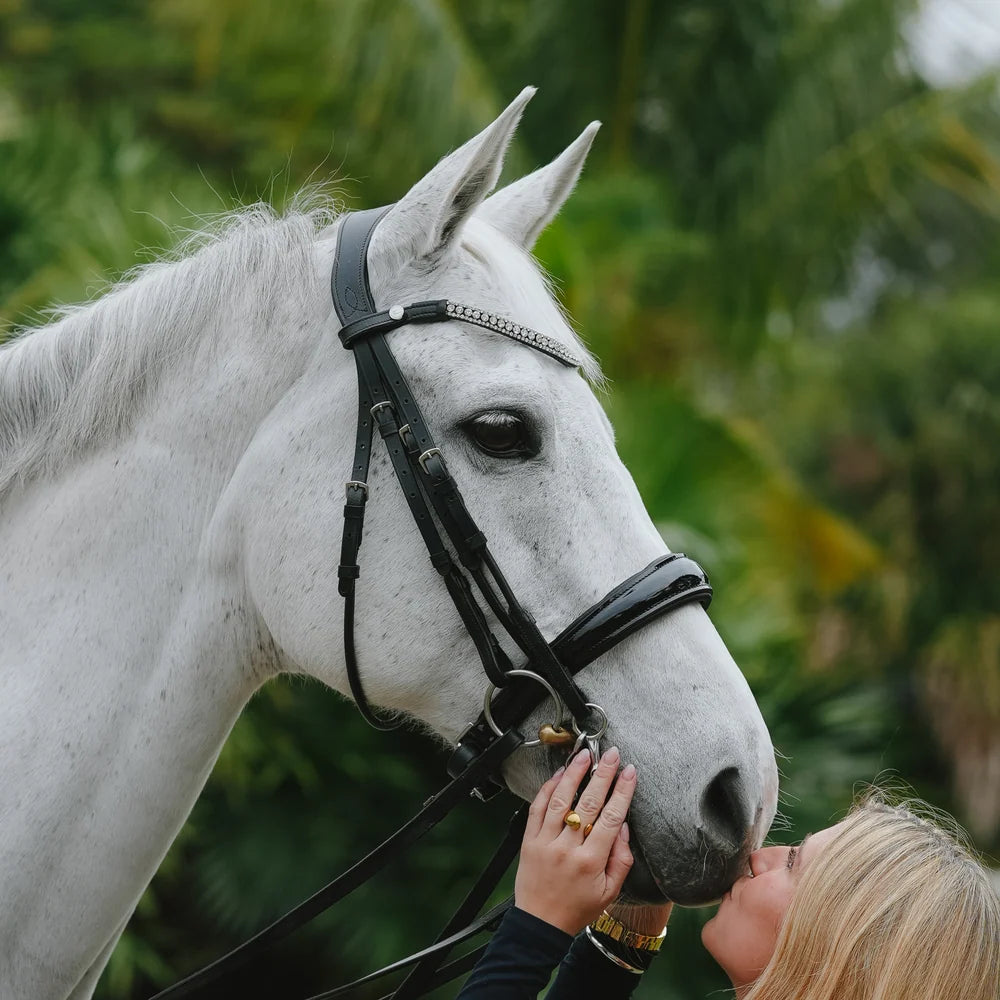 Amie' luxury leather bridle - (double)
