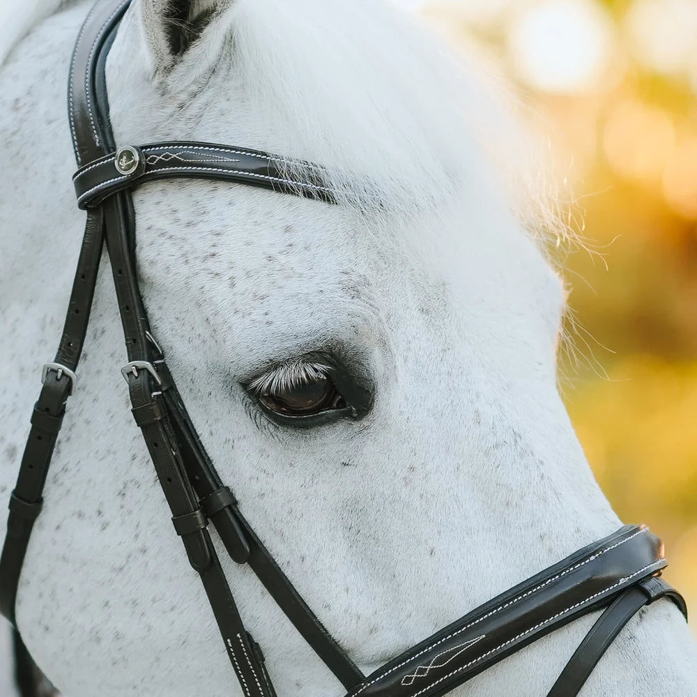 Milan' leather bridle (convertible)
