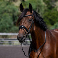 Mikayla' Leather Bridle (Convertible)