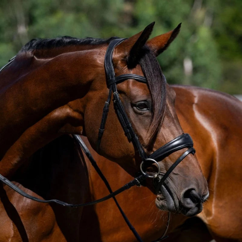 Mikayla' Leather Bridle (Convertible)