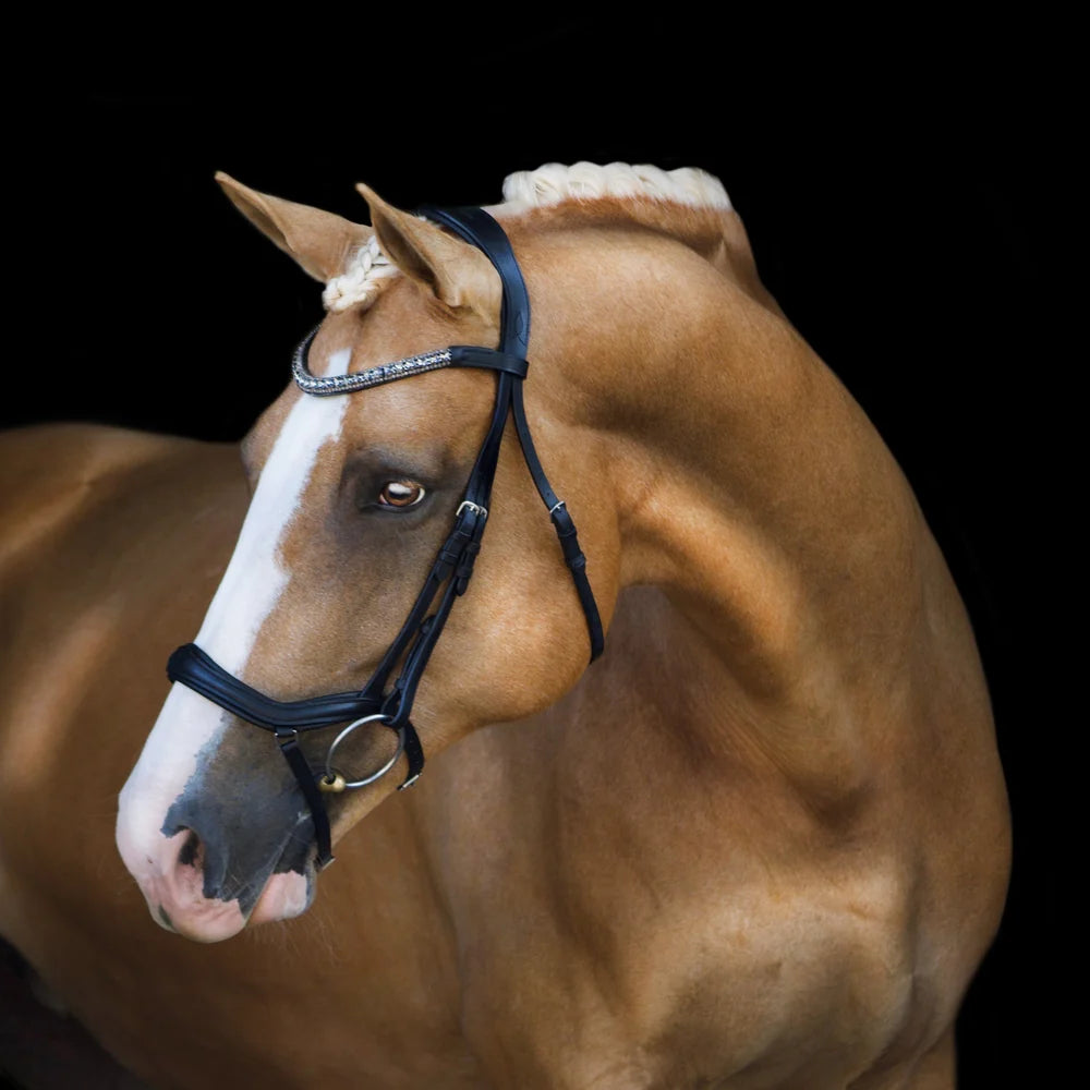 Mila' Anatomic Leather Bridle