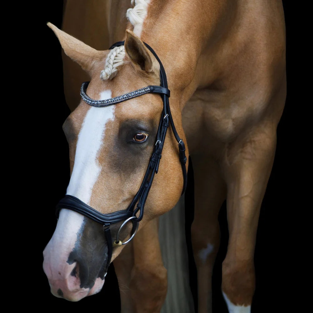 Mila' Anatomic Leather Bridle