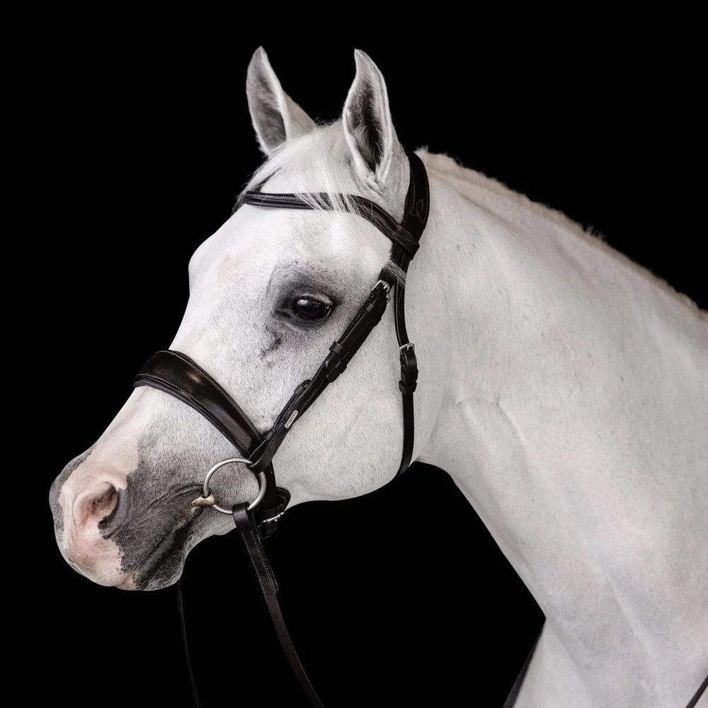 Mikayla' Leather Bridle (Convertible)