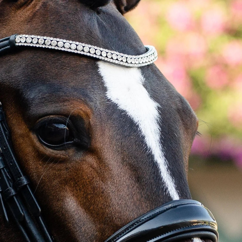 Amie' luxury leather bridle - (double)