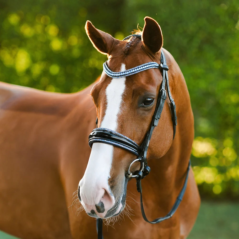 Paris bridle