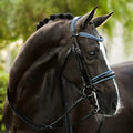 Paris bridle (double)