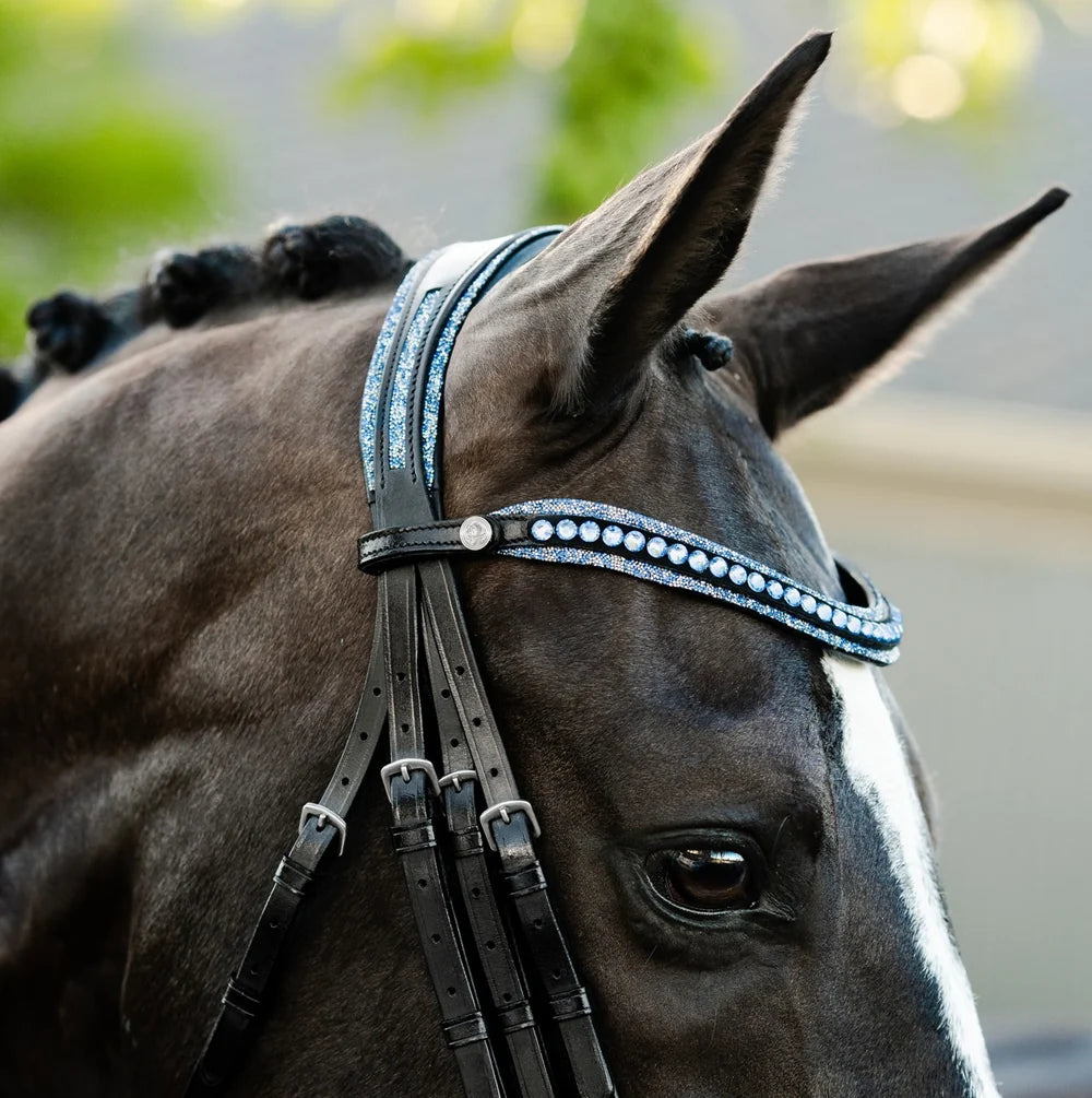 Paris bridle (double)
