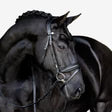 Penny bridle