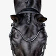 Penny bridle