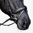 Penny bridle
