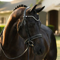 Saphira Bridle (cavesson)