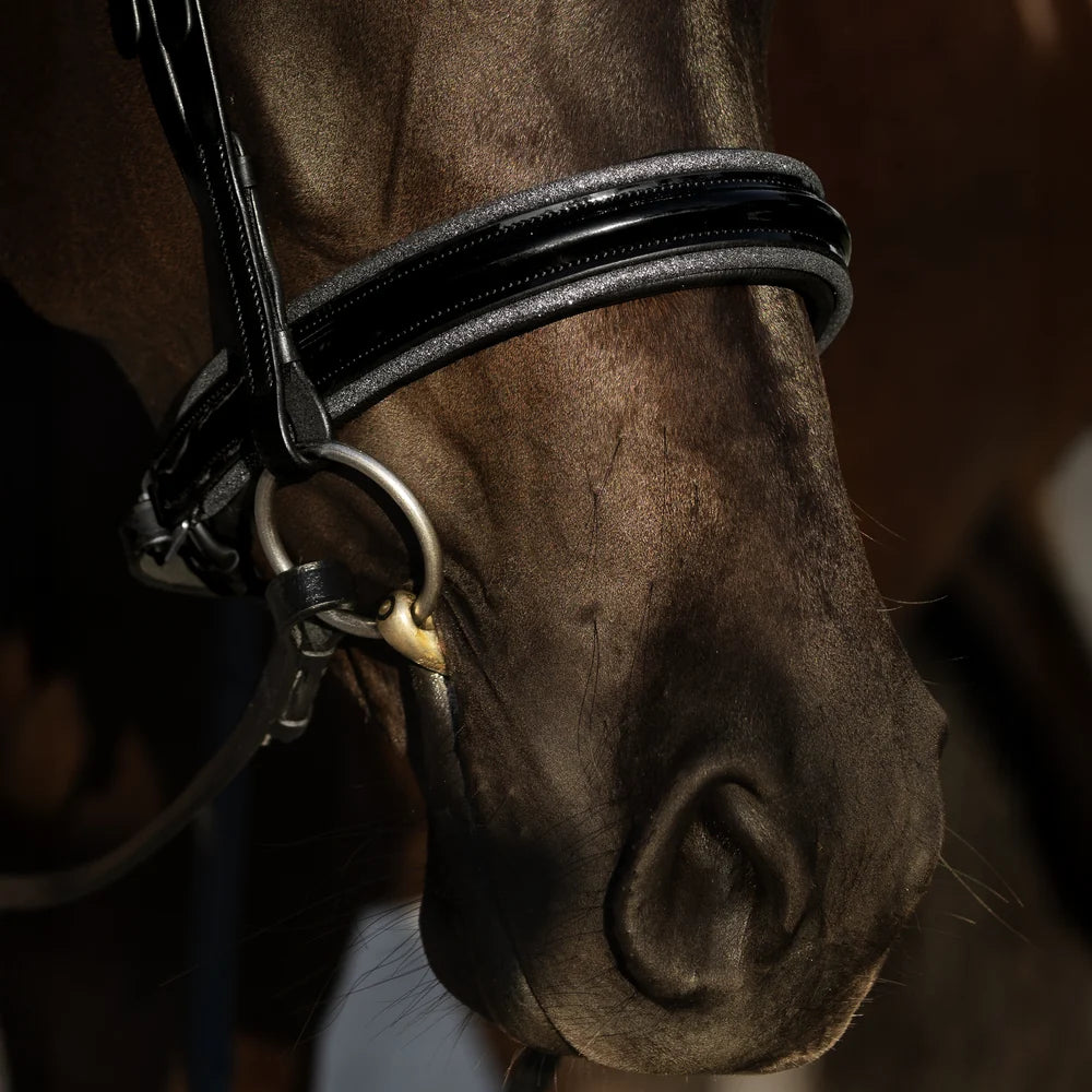 Saphira Bridle (cavesson)