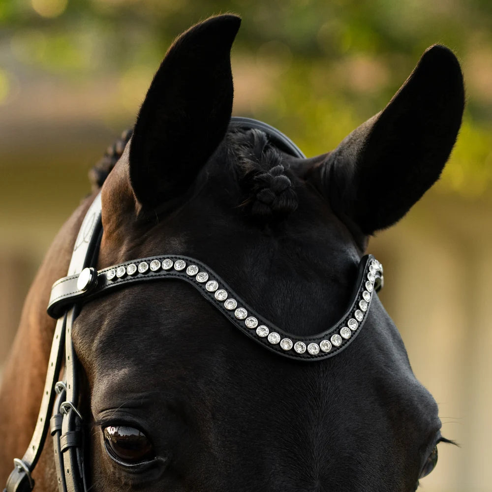 Saphira Bridle (cavesson)