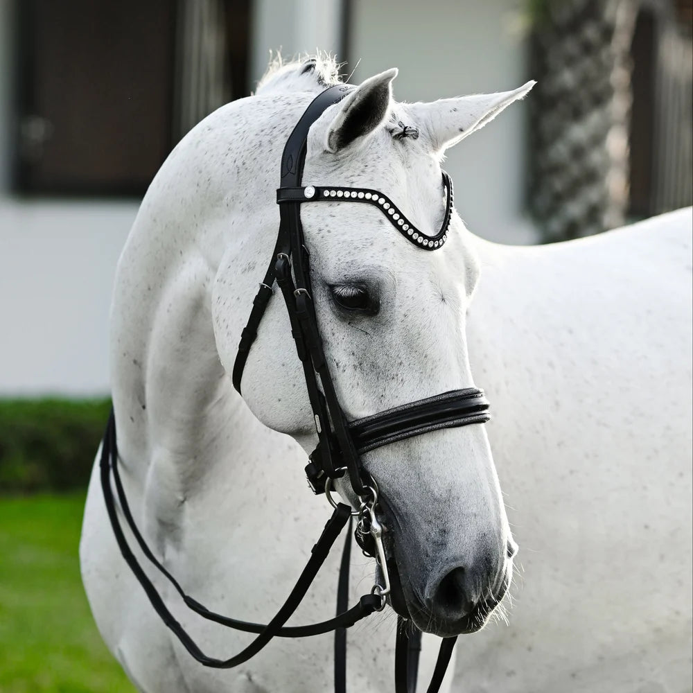 Saphira Bridle (double)