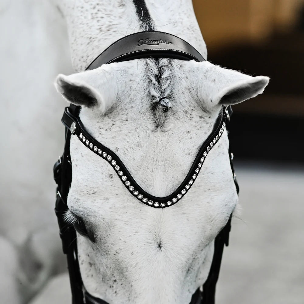 Saphira Bridle (double)