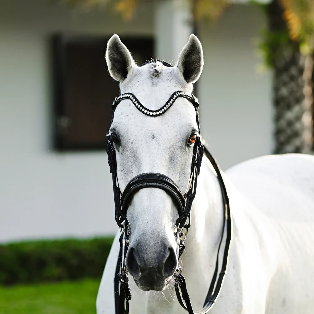 Saphira Bridle (double)
