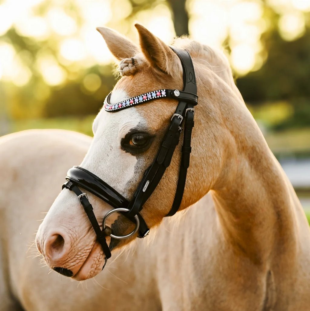 Rainbow bridle (convertible) (Lumi Pony)