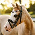 Rainbow bridle (convertible) (Lumi Pony)