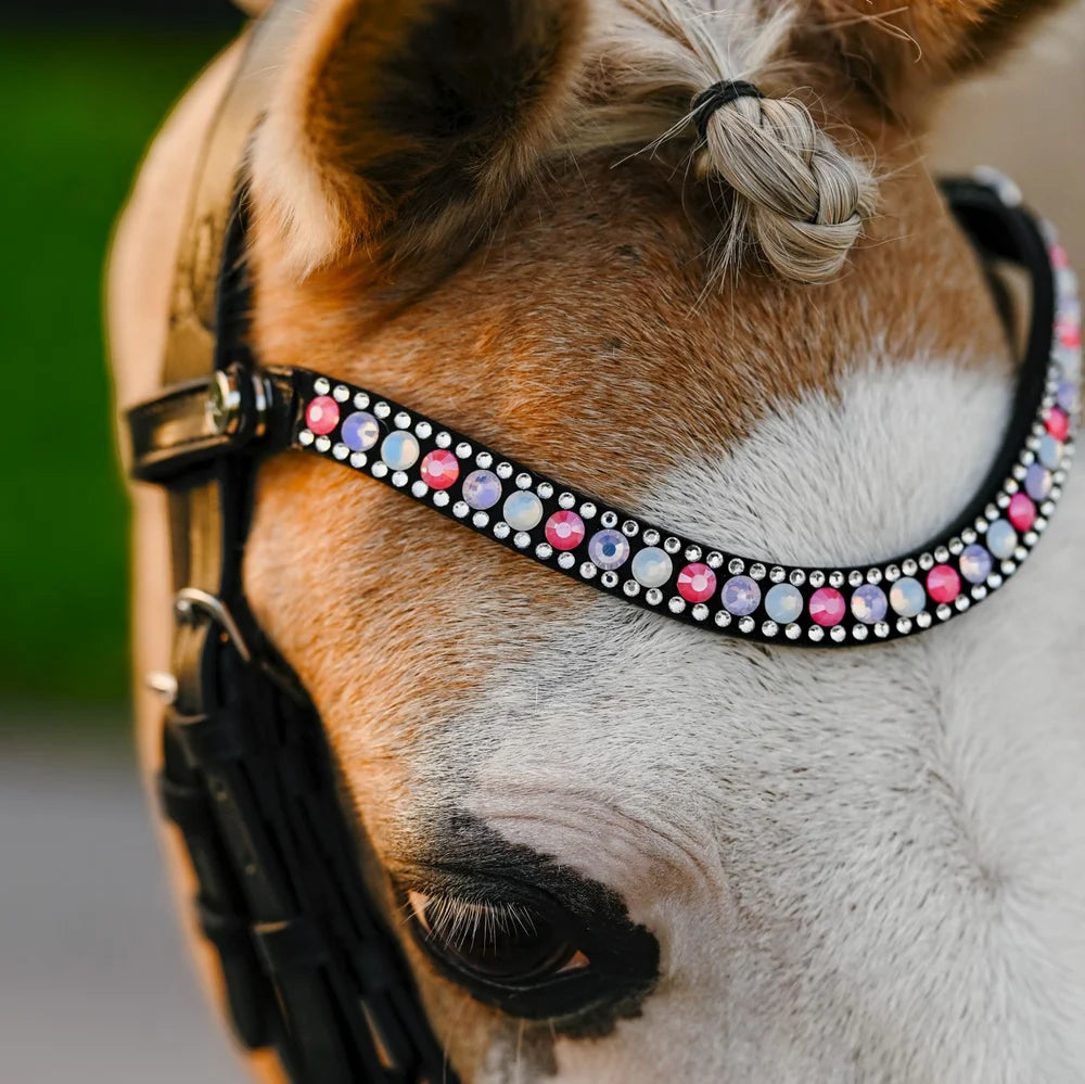 Rainbow bridle (convertible) (Lumi Pony)