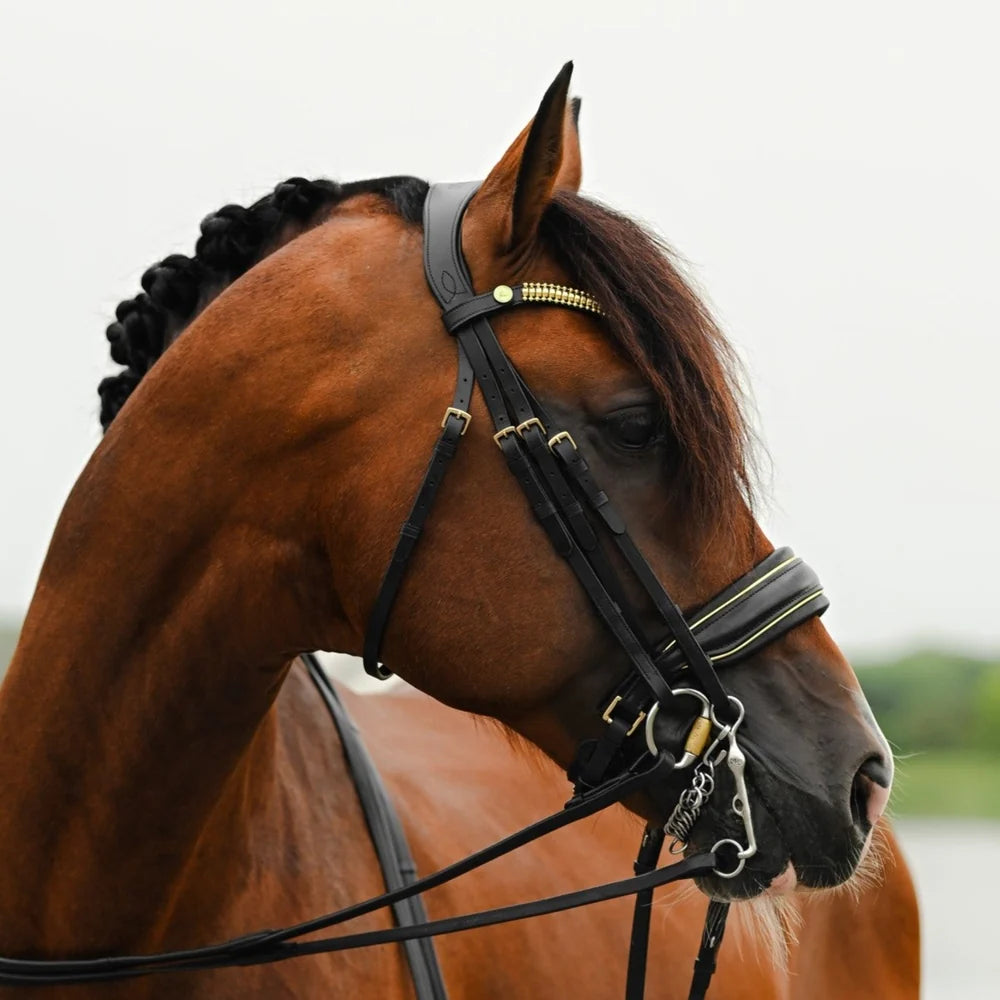 Delta' bridle (double)