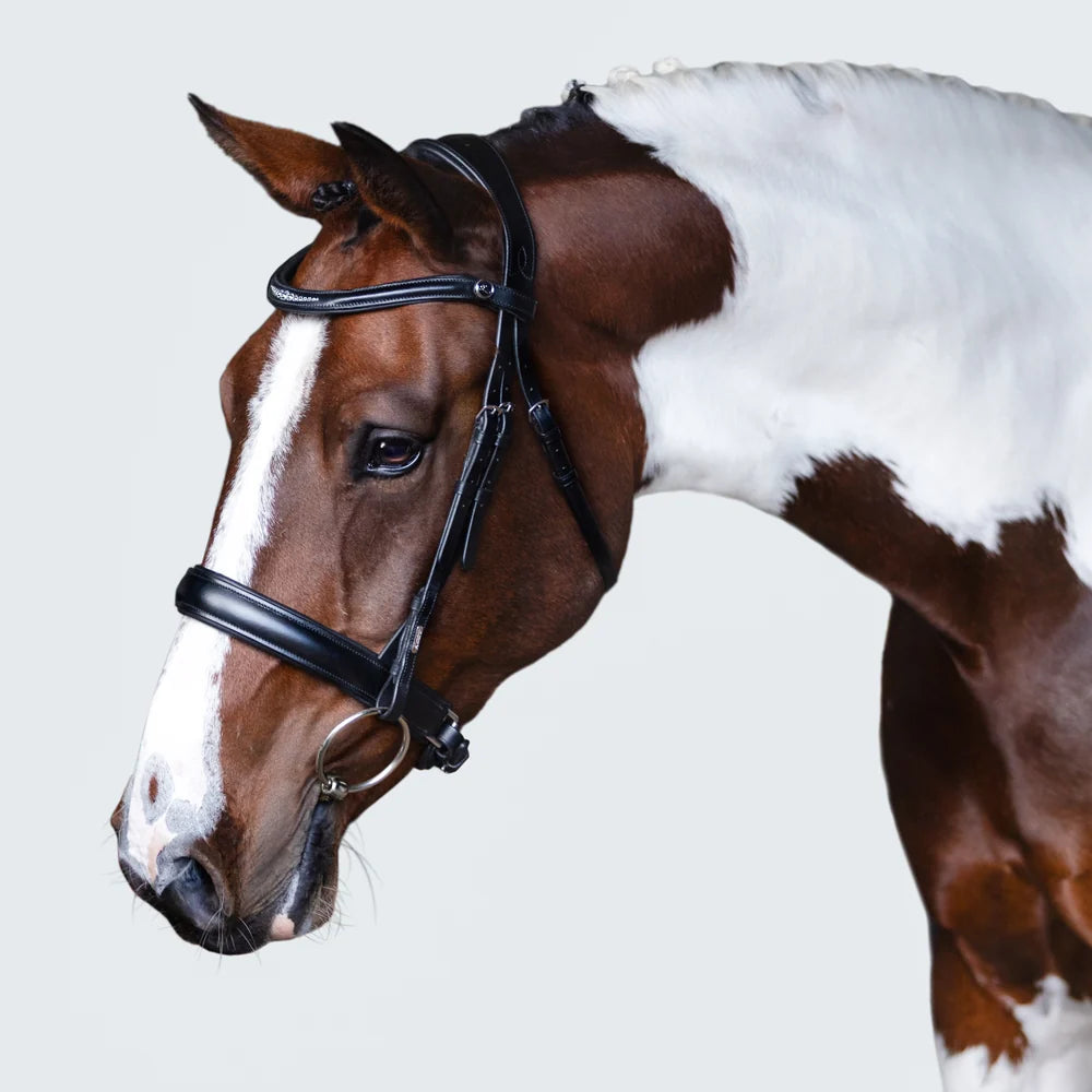 Stella Bridle