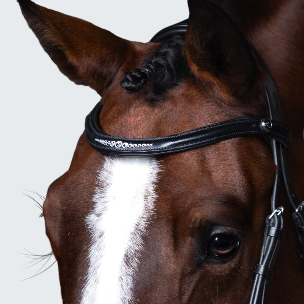 Stella Bridle