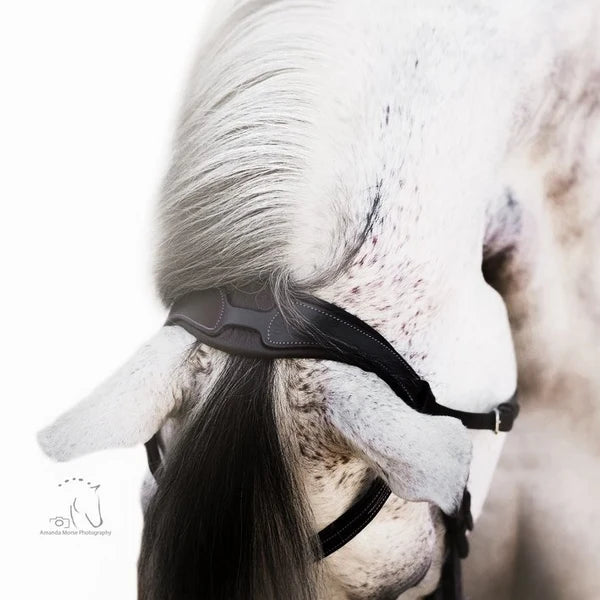 Milan' leather bridle (convertible)